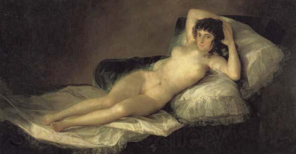 Francisco de goya y Lucientes The Maja Nude